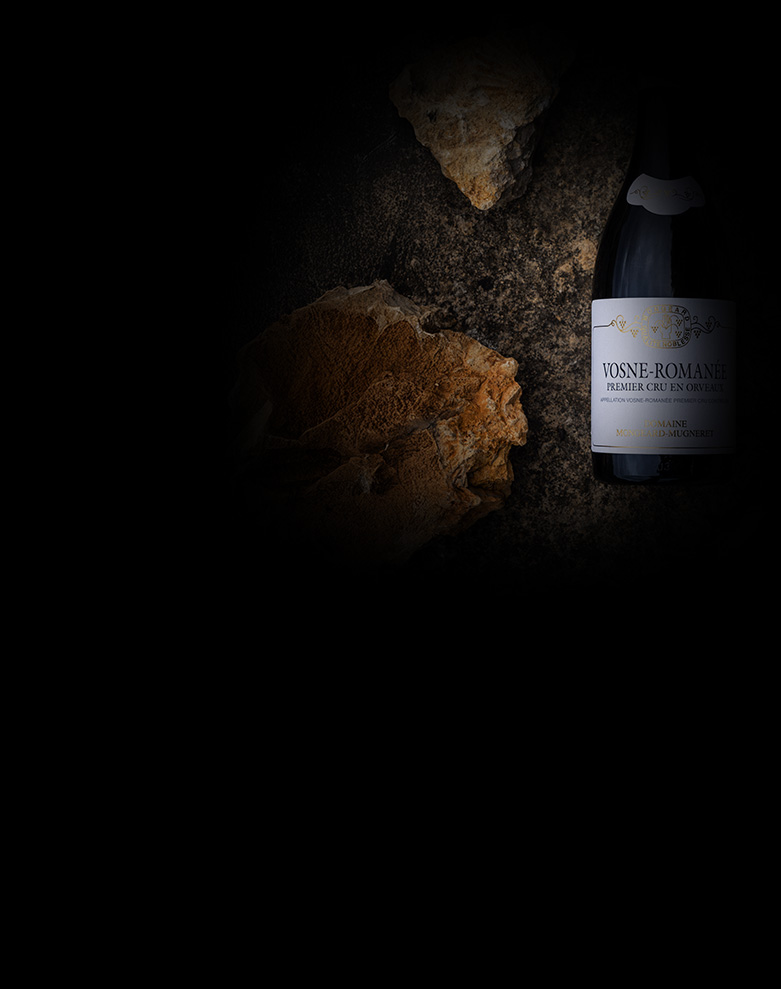 domaine mongeard mugneret vosne romanee en orveaux ombre
