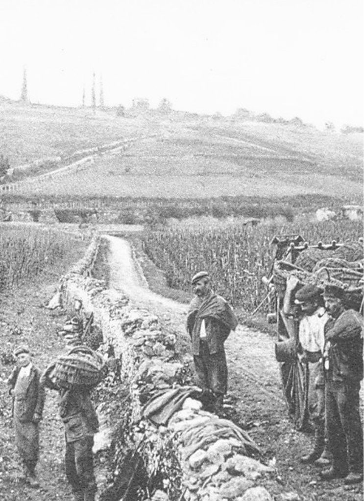 domaine mongeard mugneret ancien