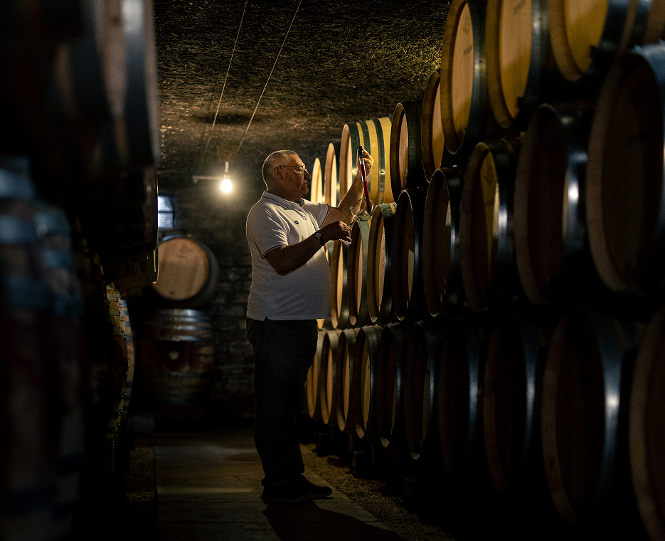 domaine mongeard mugneret vincent mongeard cave