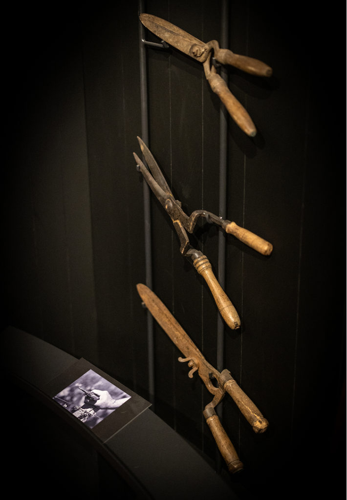 découverte bourgogne mongeard mugneret