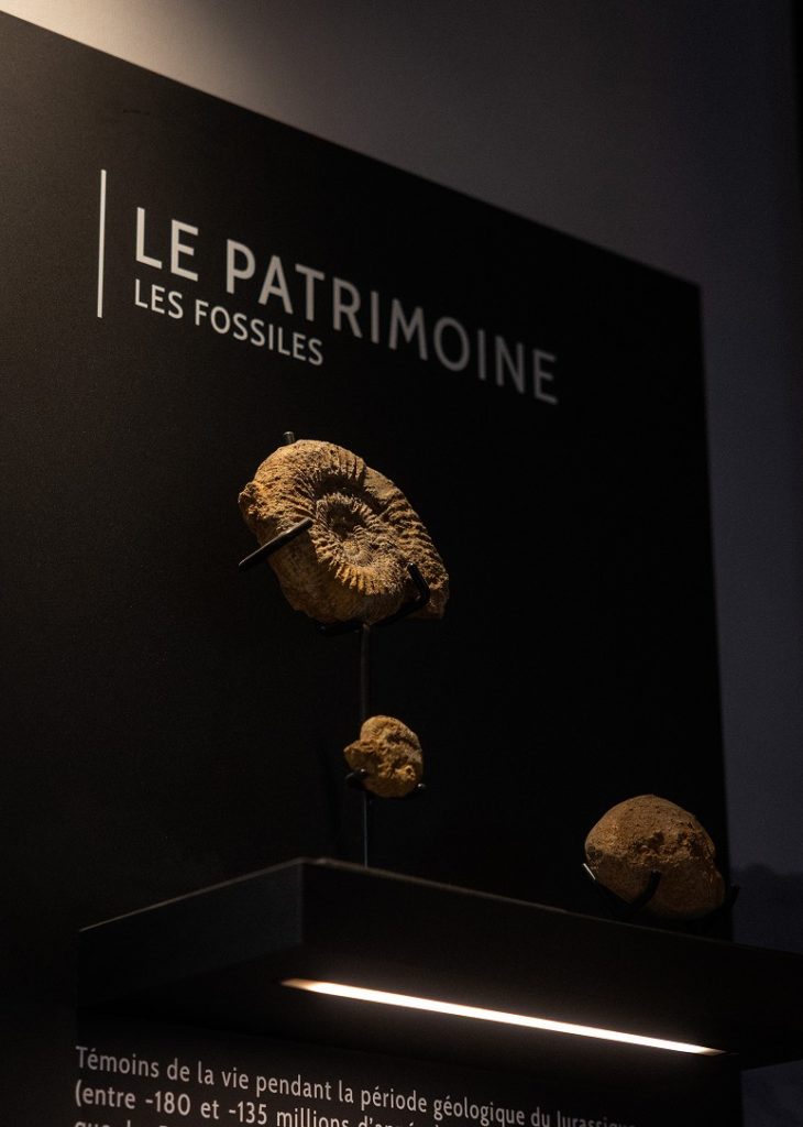 visite privée domaine mongeard mugneret bourgogne