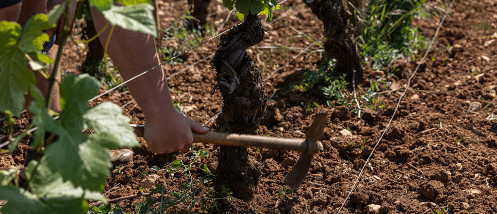 accueil terre de vignes mongeard mugneret