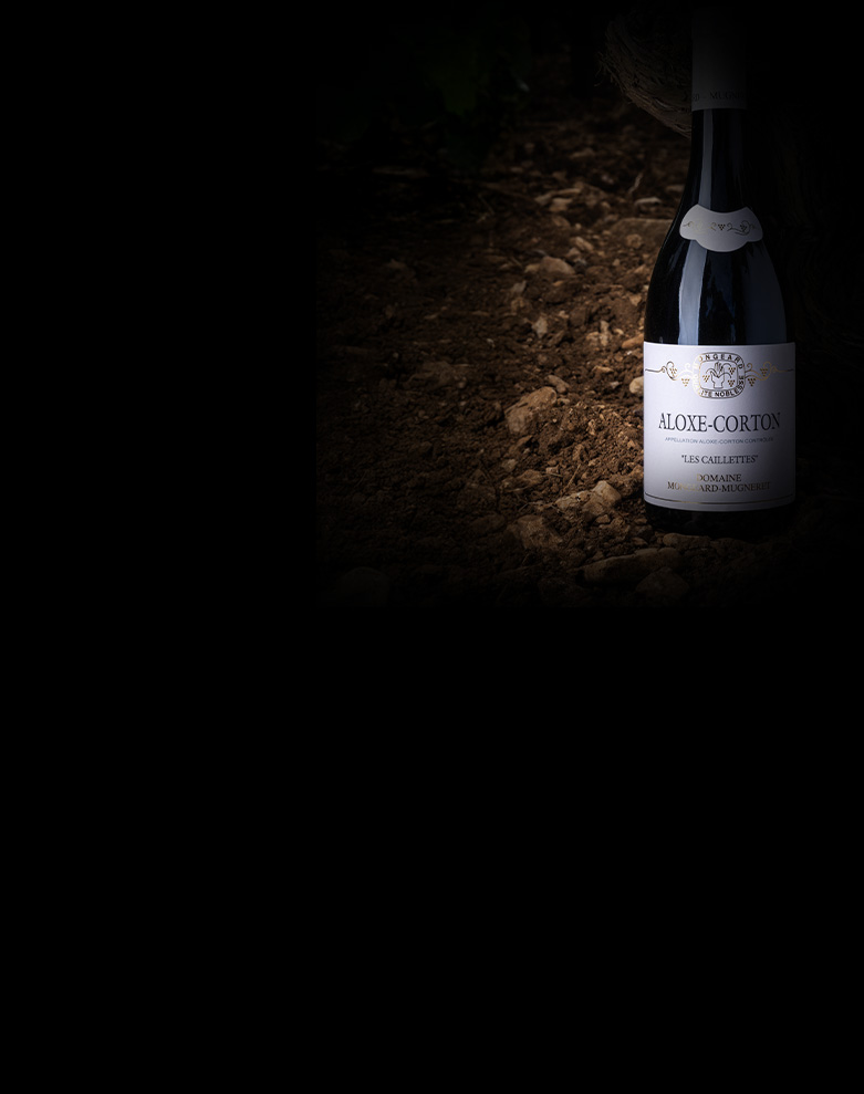 domaine mongeard mugneret aloxe corton ombre