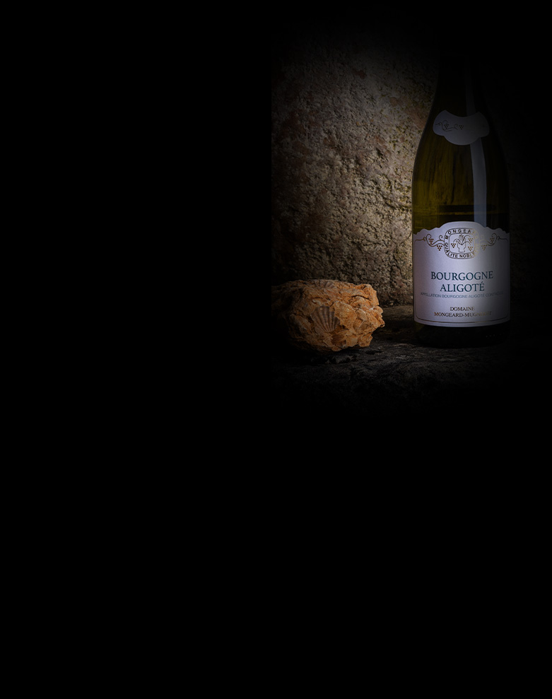 domaine mongeard mugneret bourgogne aligote ombre