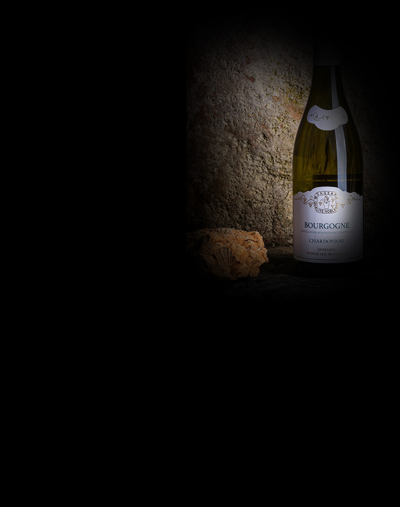 domaine mongeard mugneret bourgogne chardonnay ombre