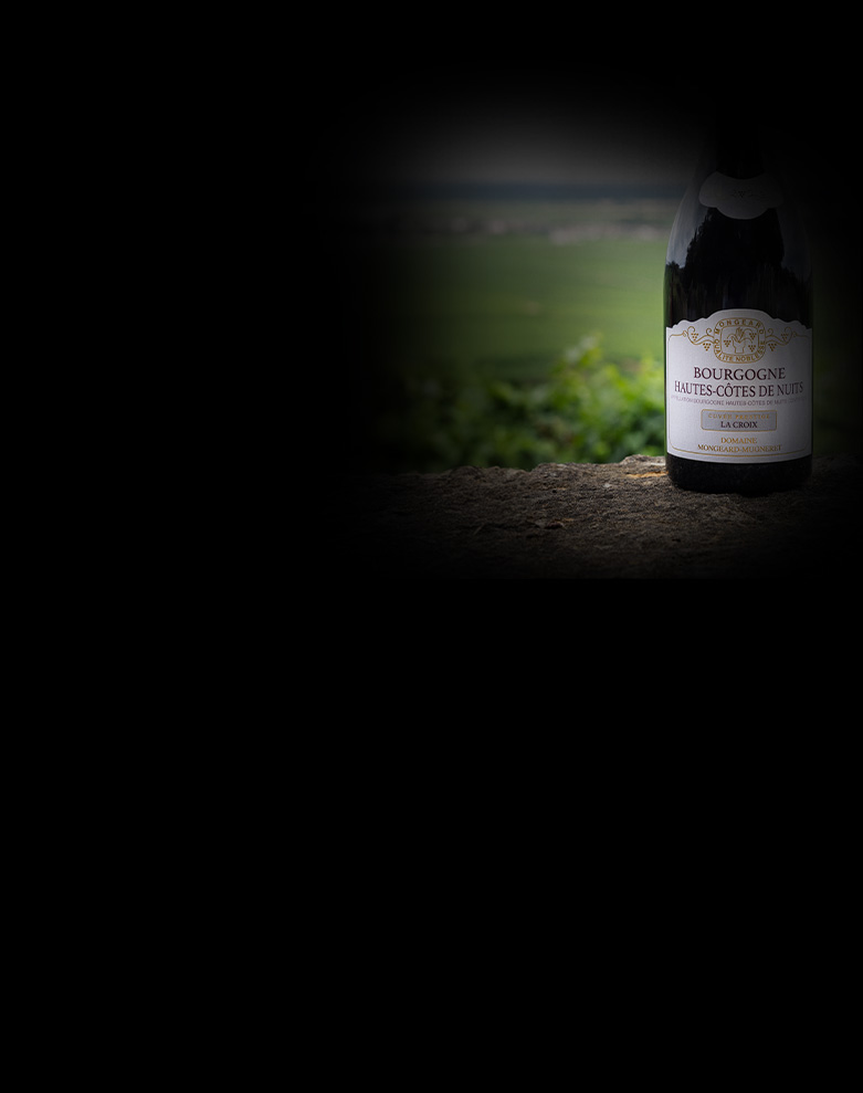 domaine mongeard mugneret bourgogne hautes cotes de nuits la croix ombre