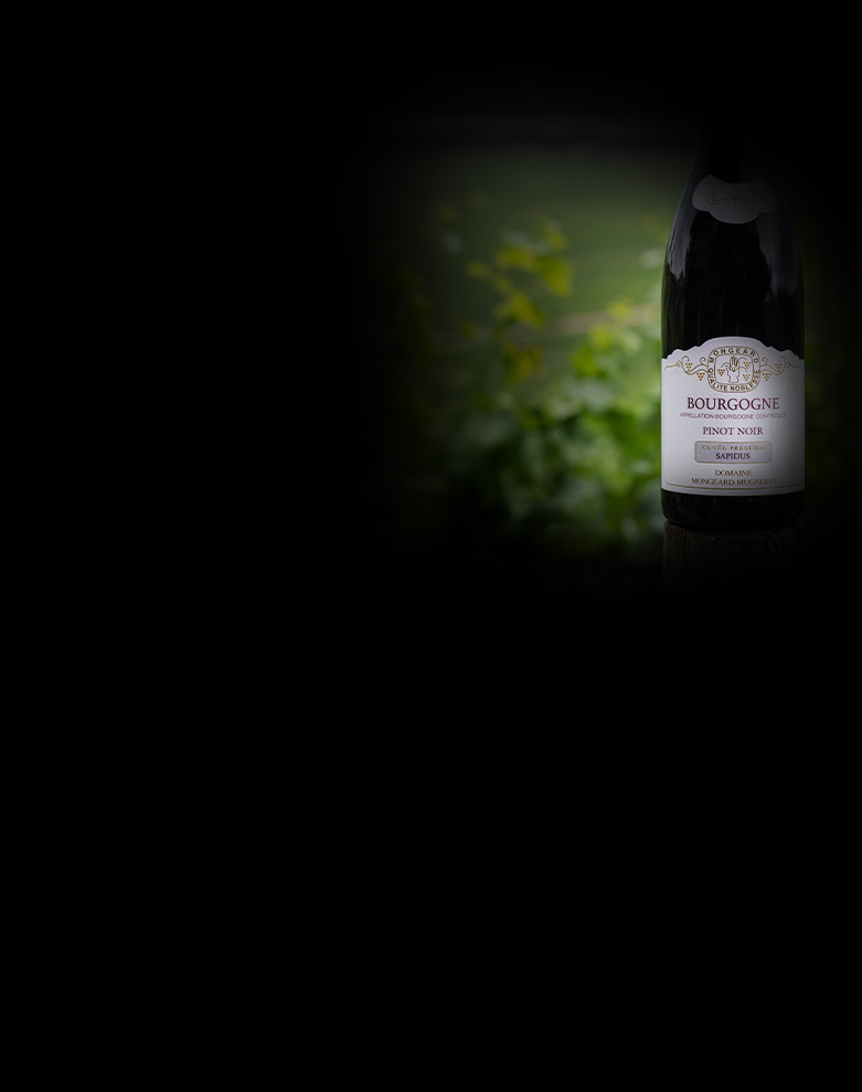 domaine mongeard mugneret bourgogne pinot noir sapidus ombre