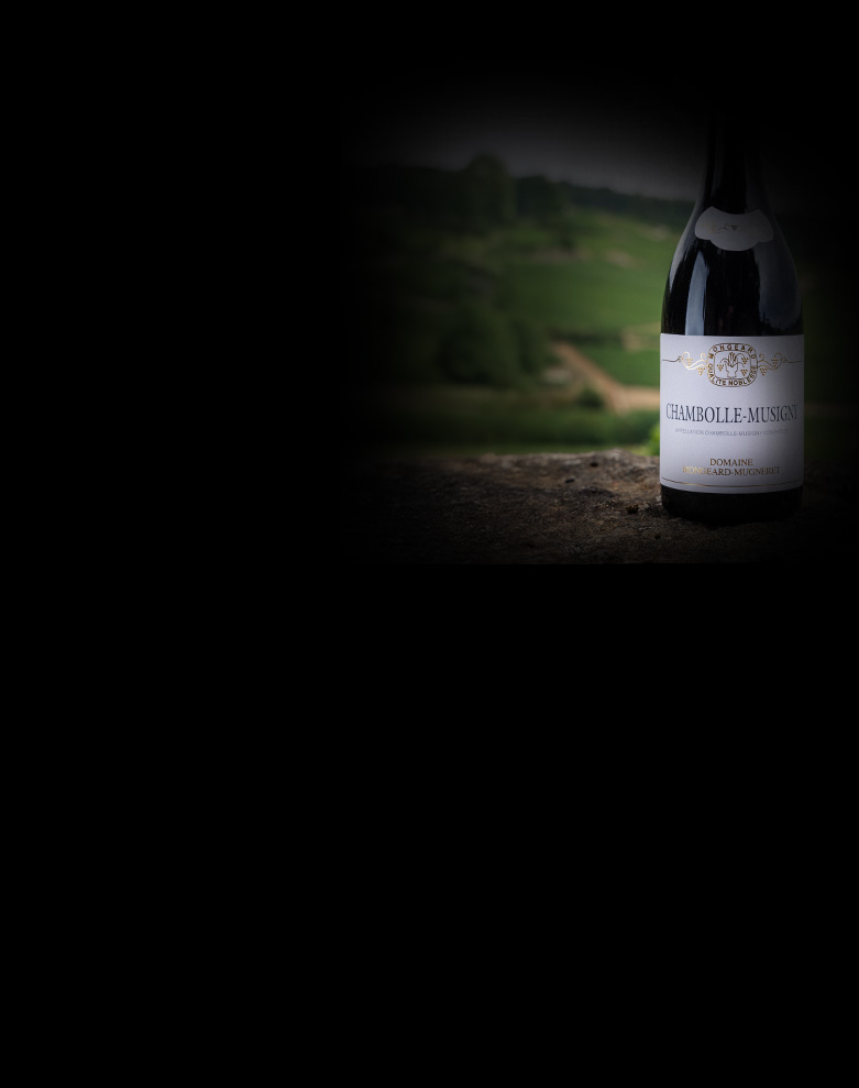 domaine mongeard mugneret chambolle musigny ombre