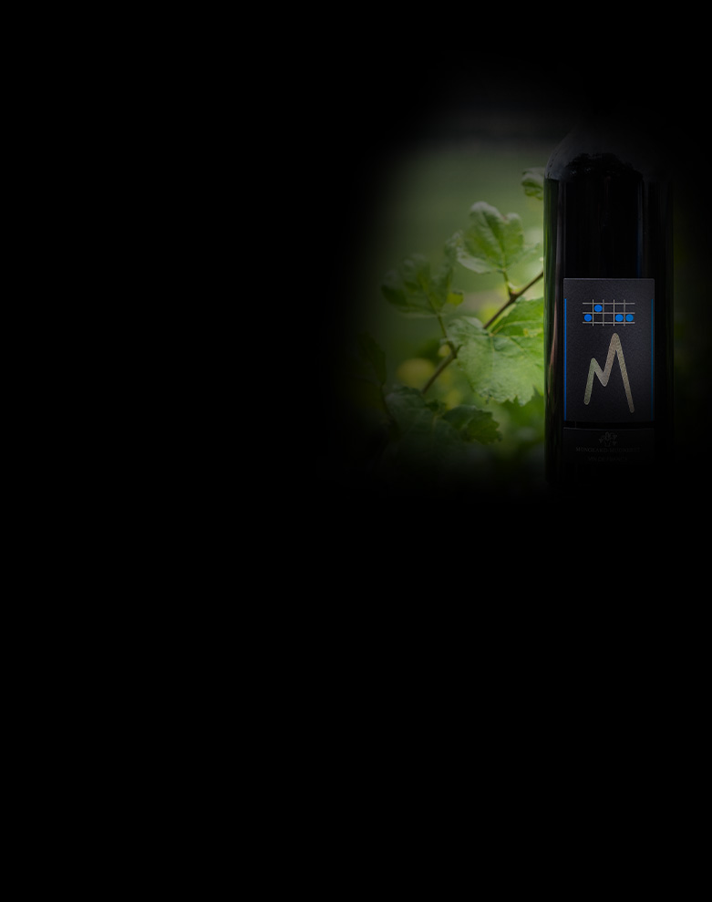 domaine mongeard mugneret cuvee m ombre