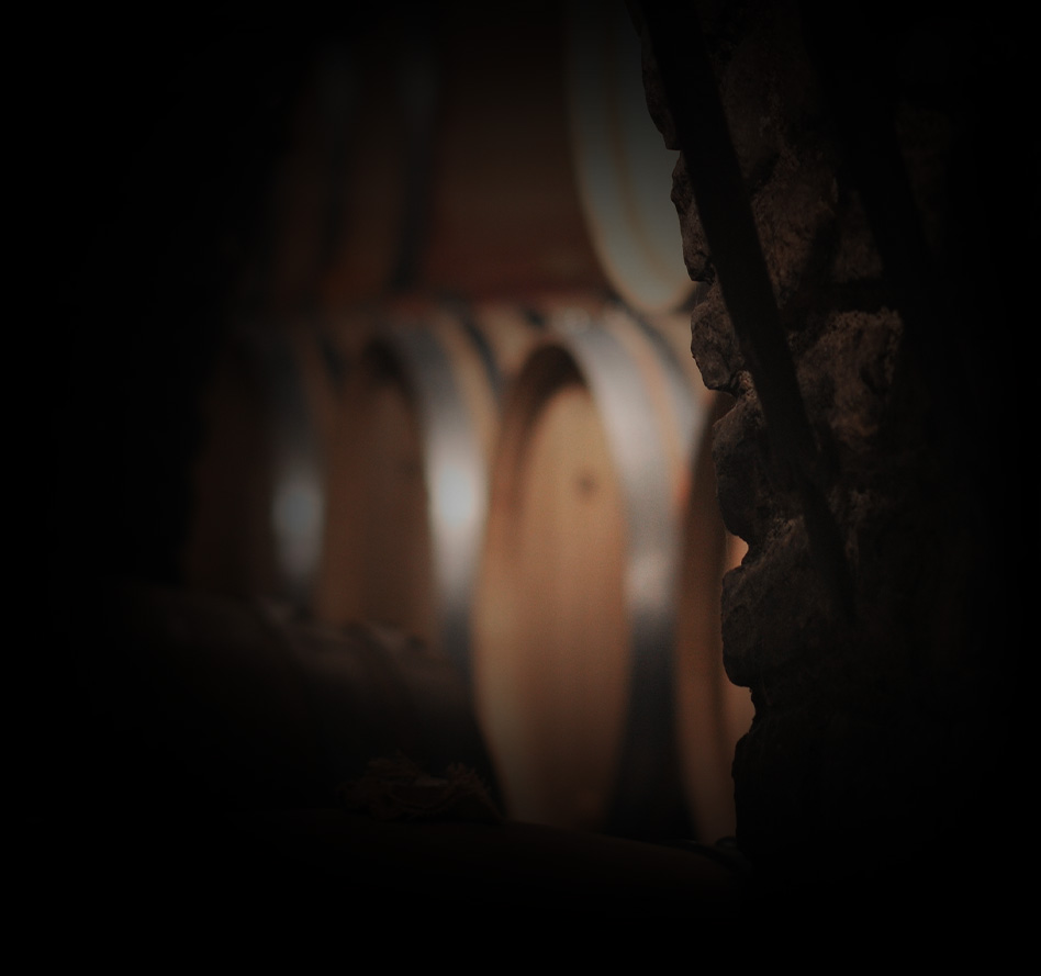 domaine mongeard mugneret dans le silence du chai