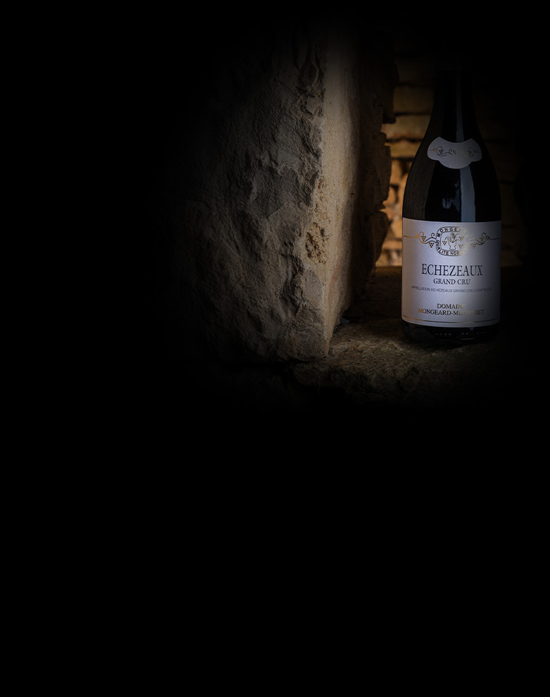 domaine mongeard mugneret echezeaux ombre