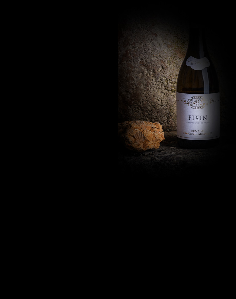 domaine mongeard mugneret fixin ombre