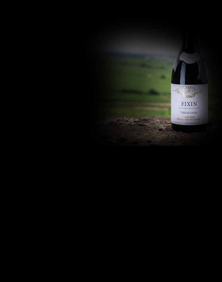 domaine mongeard mugneret fixin vieillesvignes ombre