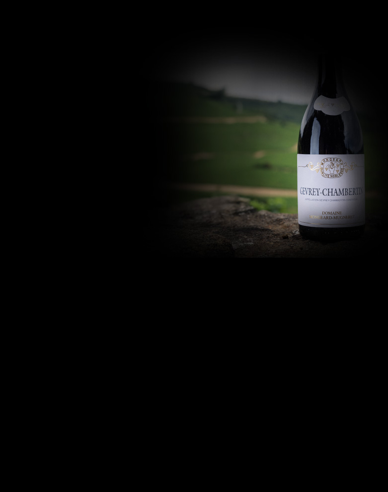 domaine mongeard mugneret gevrey chambertin ombre