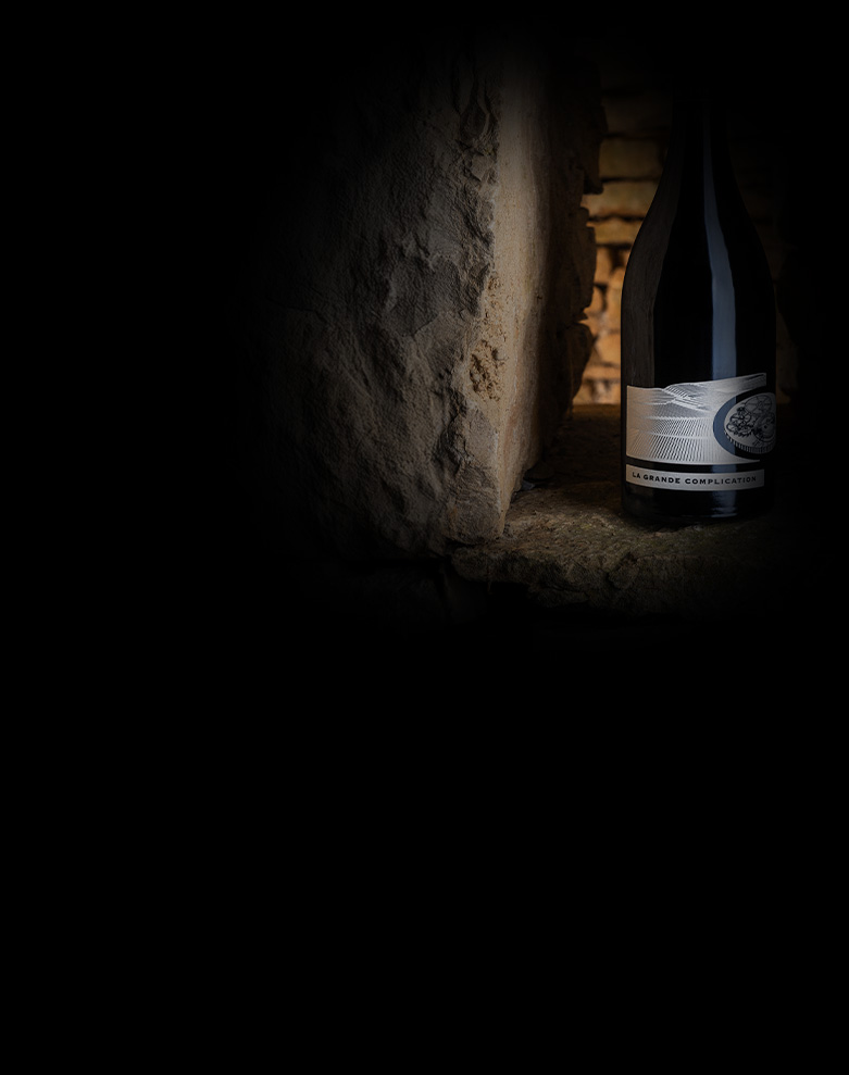 domaine mongeard mugneret la grande complication ombre