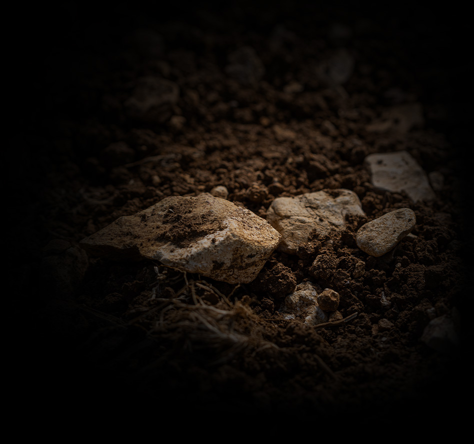 domaine mongeard mugneret la terre qui murmure