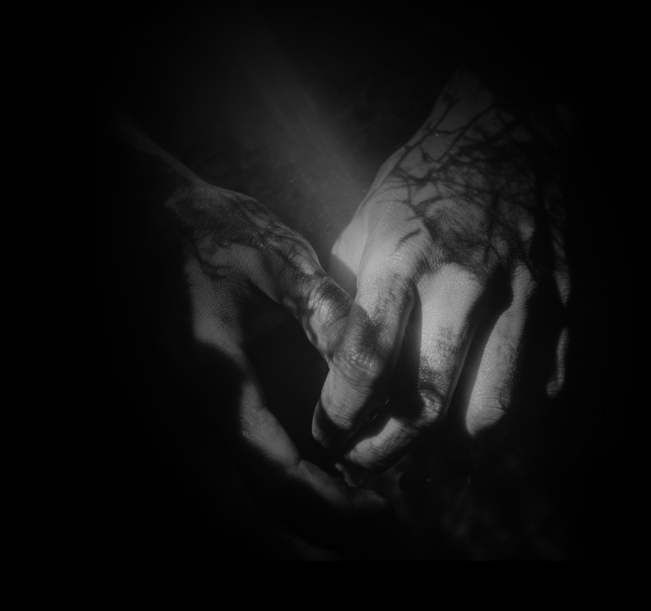 domaine mongeard mugneret les mains dans l ombre