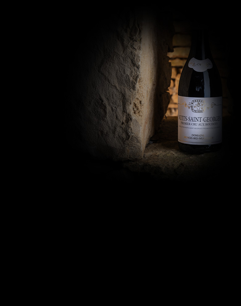 domaine mongeard mugneret nuits saint georges 1ercru aux boudots ombre