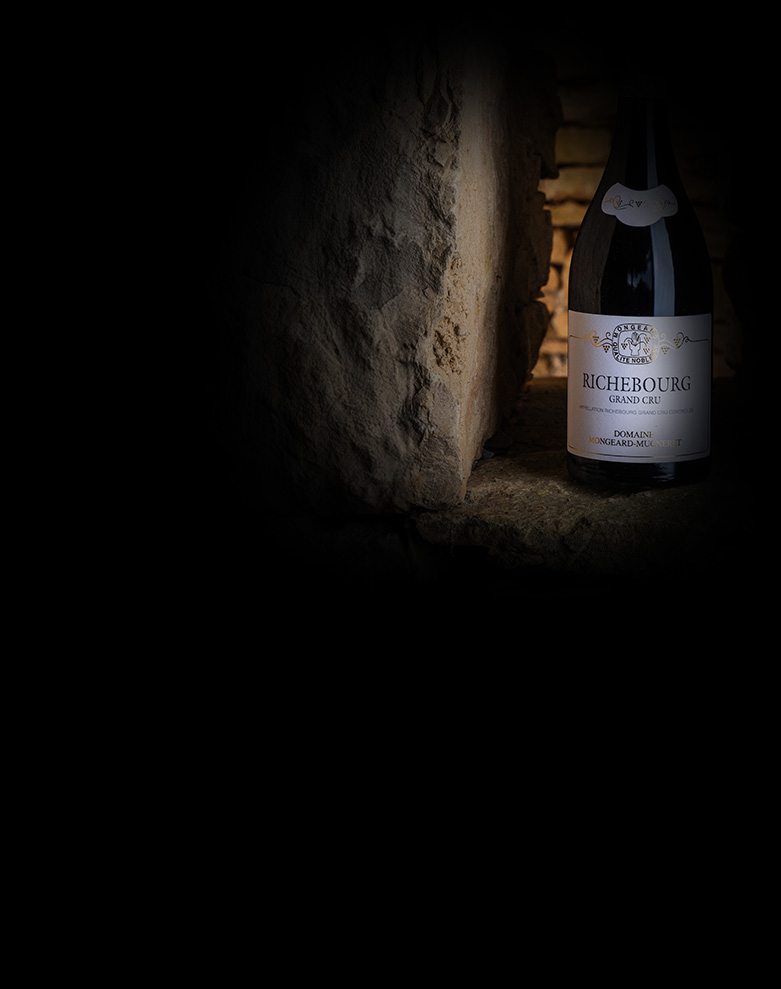 domaine mongeard mugneret richebourg ombre