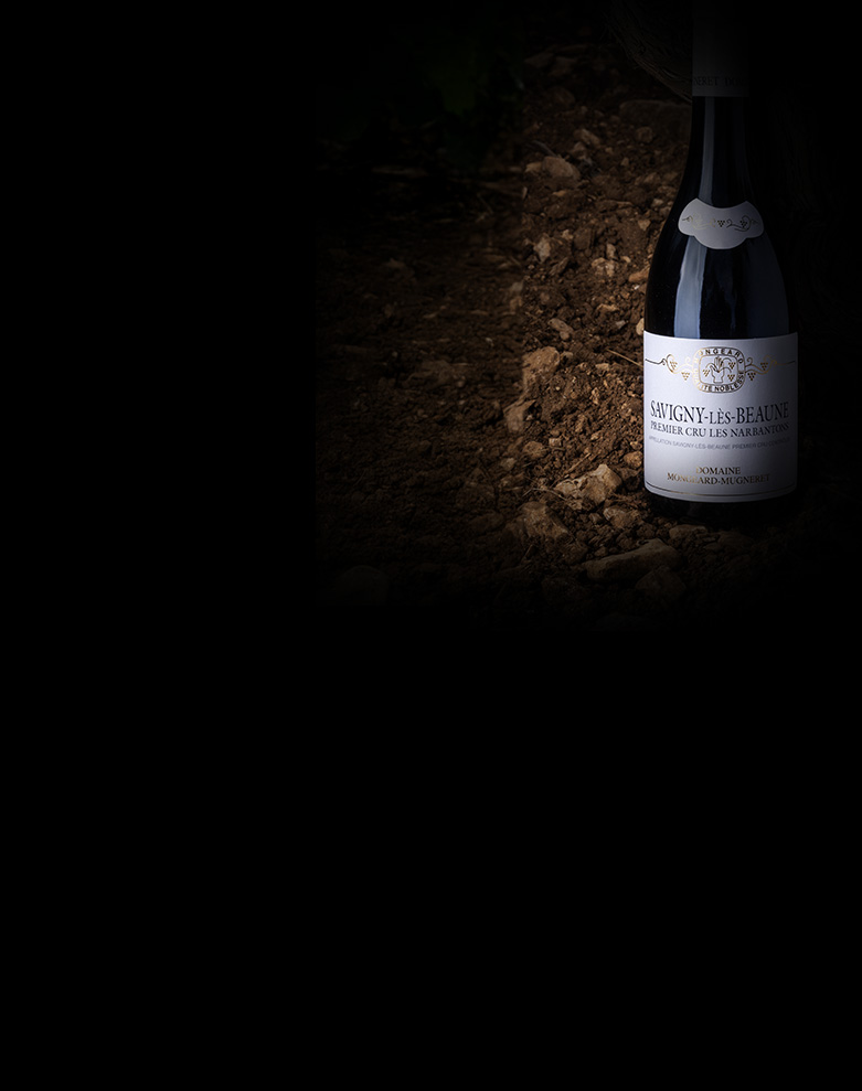 domaine mongeard mugneret savigny les beaune 1ercru les narbantons ombre