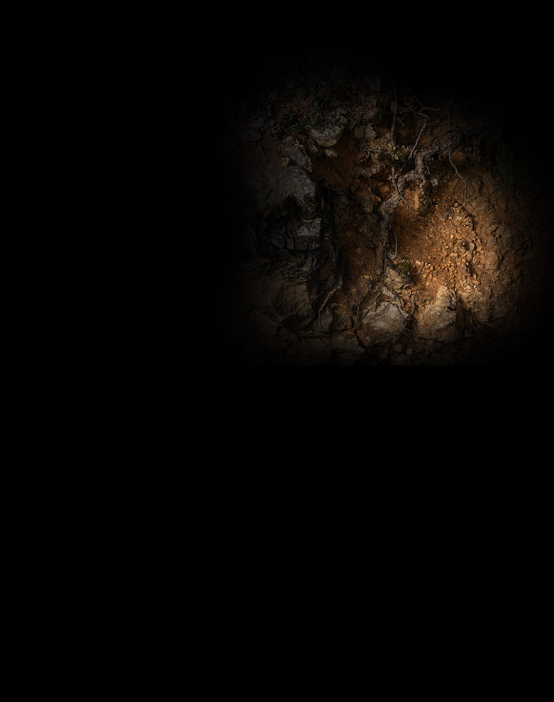 domaine mongeard mugneret vin ombre