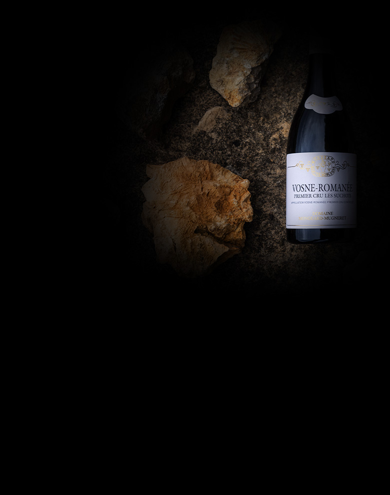 domaine mongeard mugneret vosne romanee 1ercru les suchots ombre