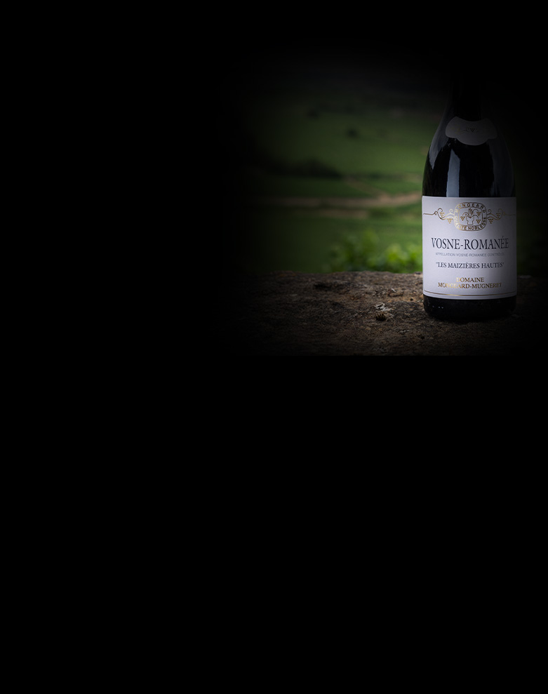 domaine mongeard mugneret vosne romanee les maizieres ombre