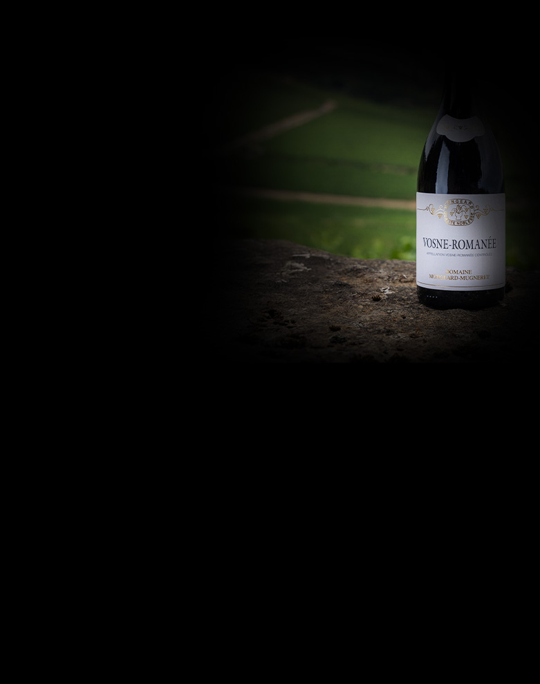 domaine mongeard mugneret vosne romanee ombre