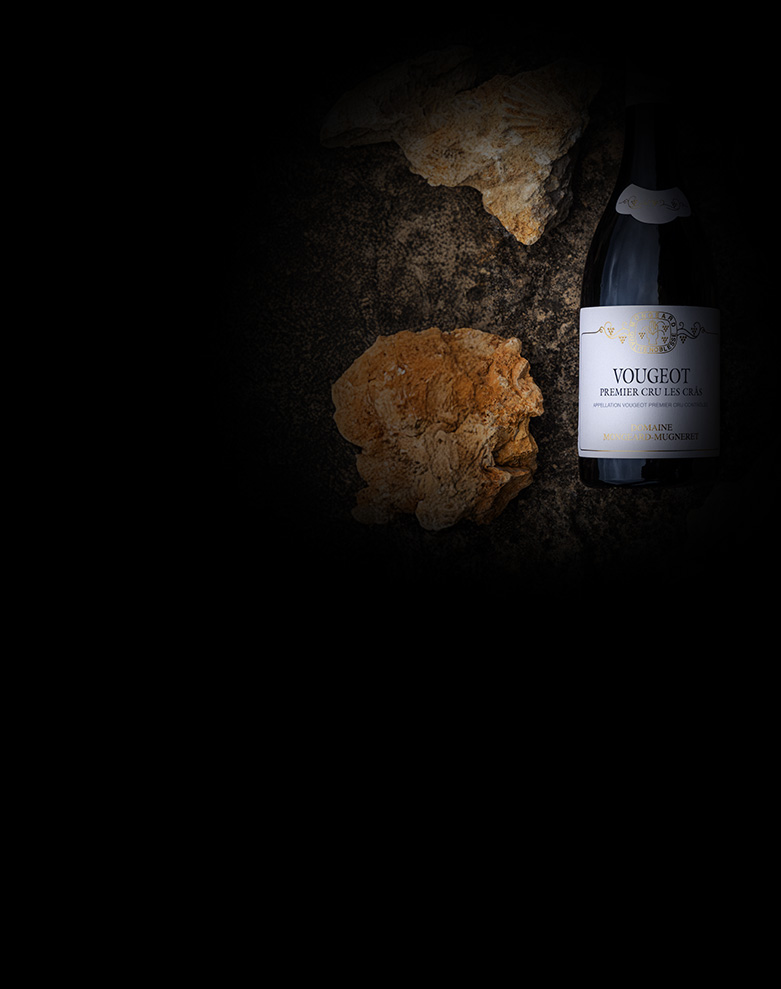 domaine mongeard mugneret vougeot 1ercru les cras ombre
