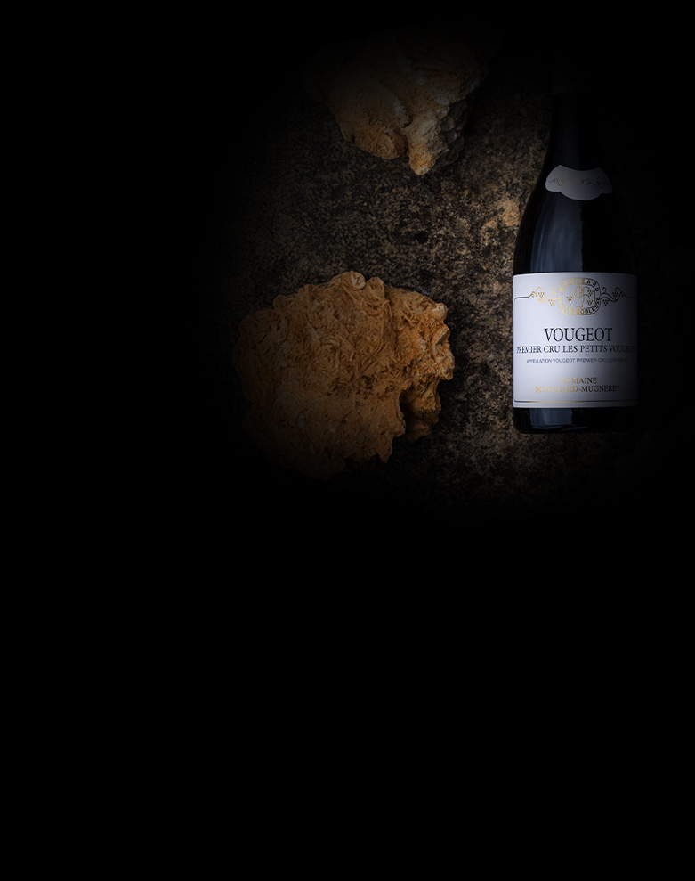domaine mongeard mugneret vougeot 1ercru les petits vougeots ombre