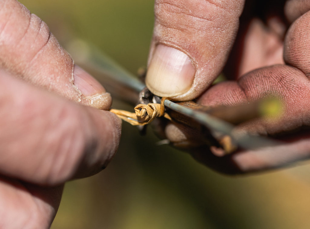 03 art empreinte mongeard