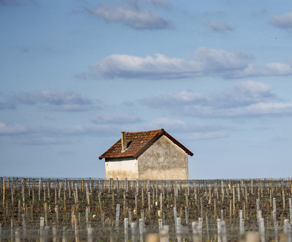 domaine mongeard ciel