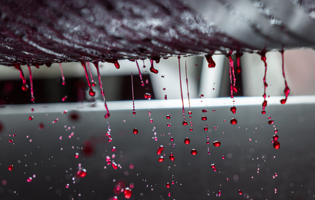 domaine mongeard mugneret vinification pinot 3