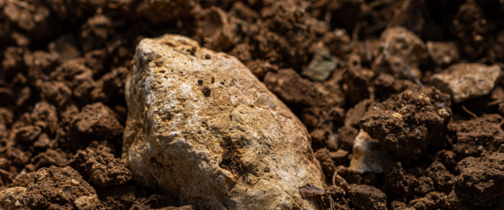 vins mongeard pierre terre